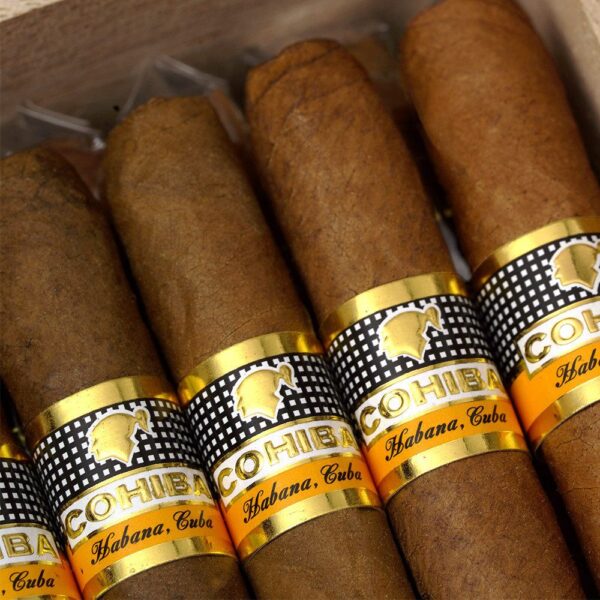 Cohiba Short Year of the Rabbit 2023LE 高希霸 短號2023兔年限量版禮盒88支